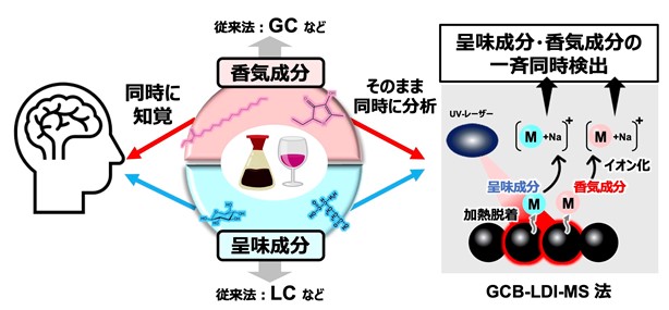 味とにおいに寄与する成分を同時に検出可能な新たな分析法を開発